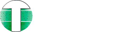 logo terrasoluciones